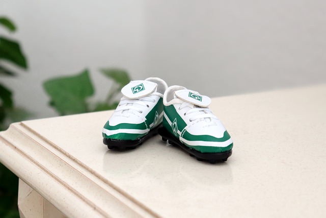 對拉齊奧來 對拉齊奧來